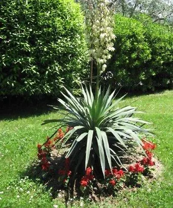 Bed & Breakfast Pension Kovac, Portoroz